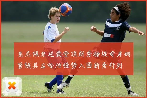 克尼佩尔逆袭登顶新秀榜埃奇库姆紧随其后哈珀强势入围新秀行列