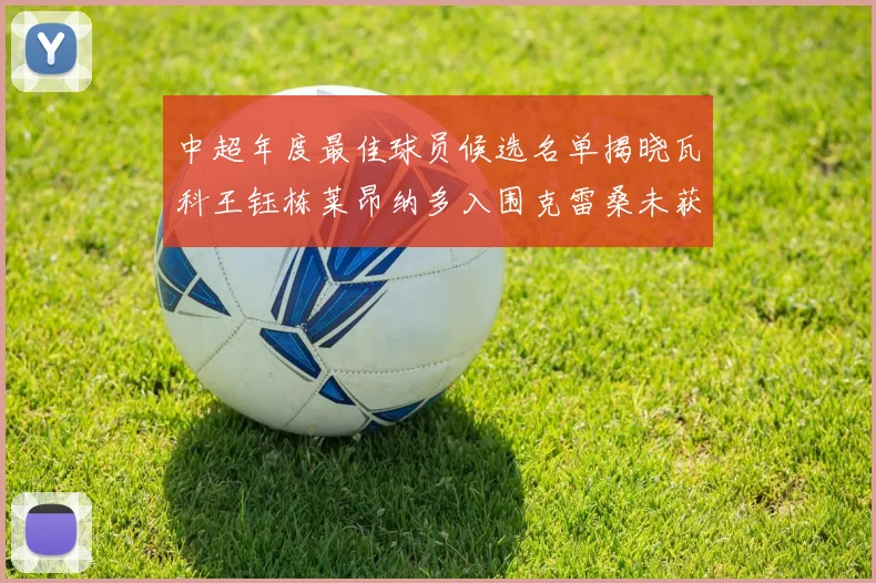 中超年度最佳球员候选名单揭晓瓦科王钰栋莱昂纳多入围克雷桑未获提名