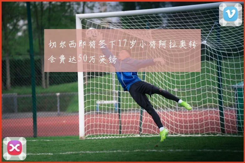 切尔西即将签下17岁小将阿拉奥转会费达50万英镑