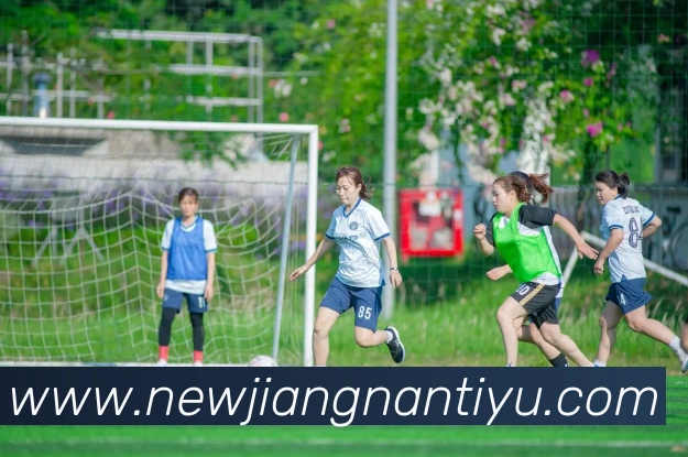 江南体育平台生态图